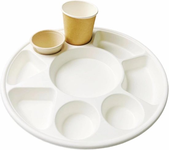 Wheature Sugarcane pulp dinner plates with 9 compartments